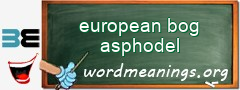 WordMeaning blackboard for european bog asphodel